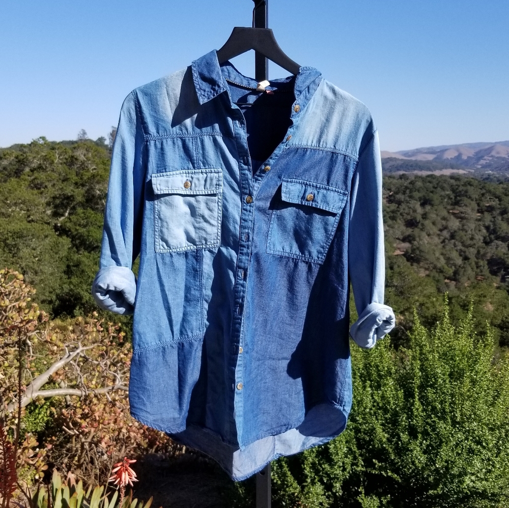 Anthropologie Pilcro Blue Button Down